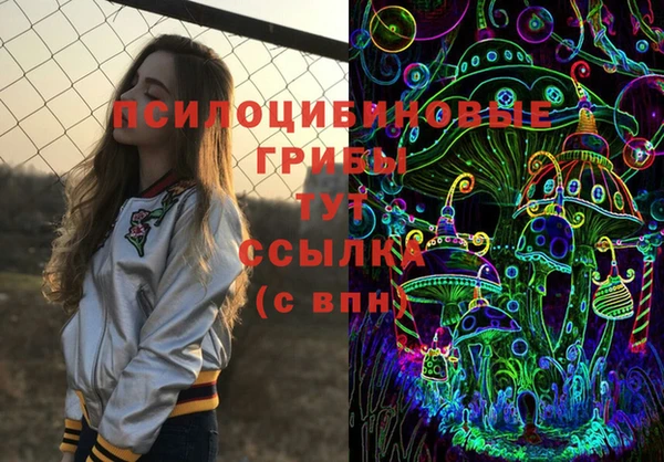 ГАЛЛЮЦИНОГЕННЫЕ ГРИБЫ Новодвинск