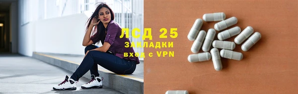 ГАЛЛЮЦИНОГЕННЫЕ ГРИБЫ Новодвинск