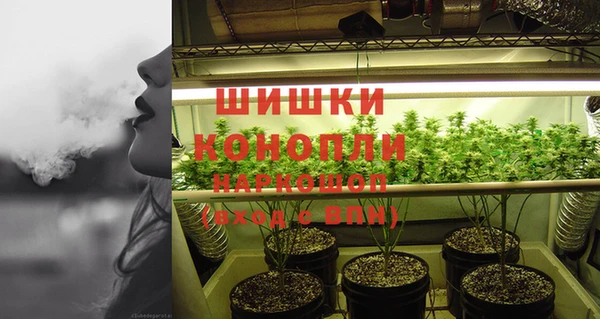 ГАЛЛЮЦИНОГЕННЫЕ ГРИБЫ Новодвинск