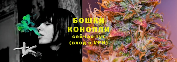 ГАЛЛЮЦИНОГЕННЫЕ ГРИБЫ Новодвинск