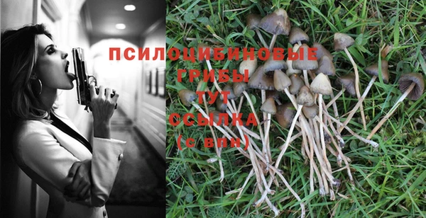 дистиллят марихуана Новозыбков