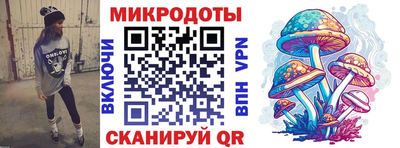Псилоцибиновые грибы Psilocybe  Санкт-Петербург 
