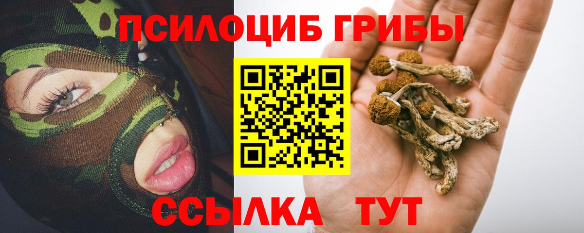 Галлюциногенные грибы MAGIC MUSHROOMS  Вход с VPN  Санкт-Петербург 
